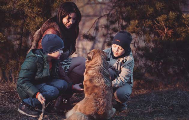 terapia-familiar-elche