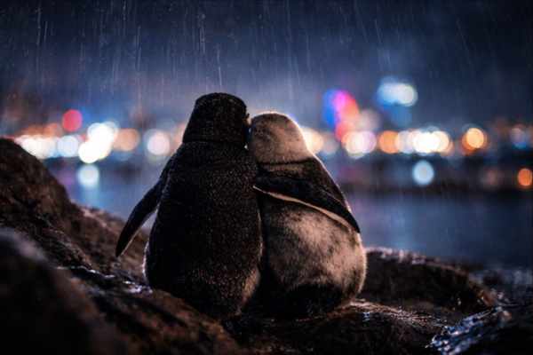 terapia-para-el-duelo-en-elche