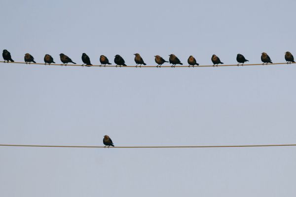 terapia-para-el-duelo